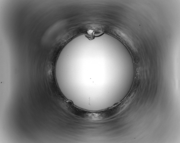 X0000096960265200802221348