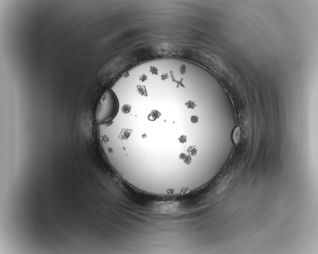 X0000096960266200802221348