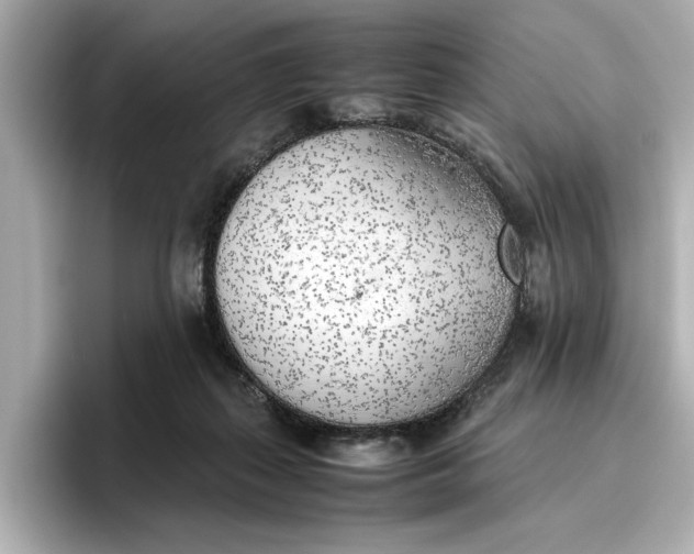 X0000096960267200802221348