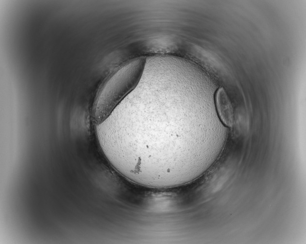 X0000096960268200802221348