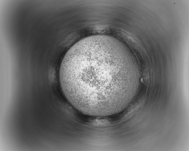 X0000096960270200802221348