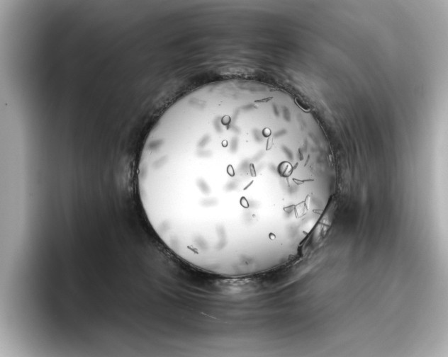 X0000096960273200802221348