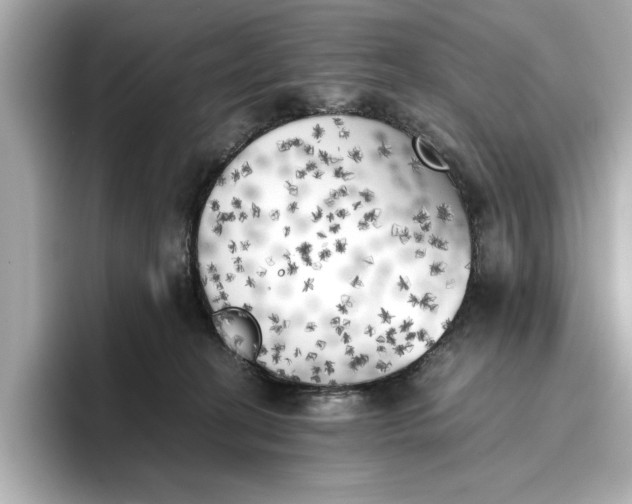 X0000096960274200802221348