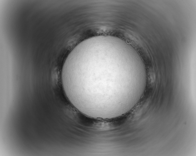 X0000096960276200802221348