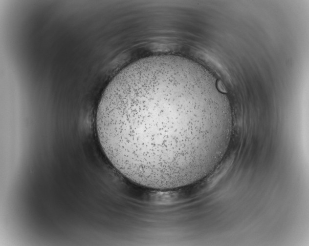 X0000096960277200802221348