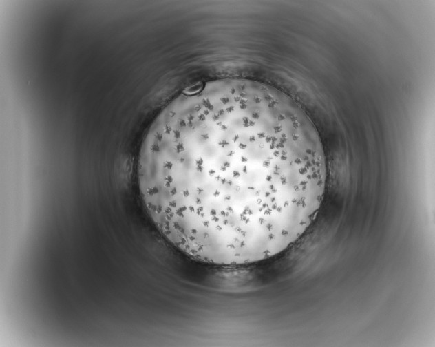 X0000096960278200802221348