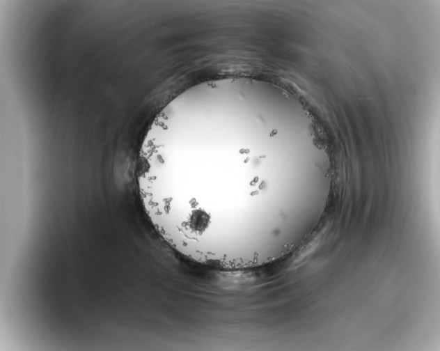 X0000096960281200802221348