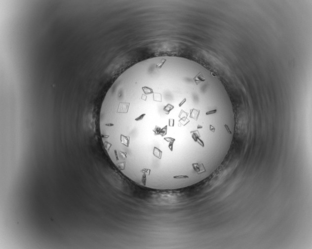 X0000096960282200802221348