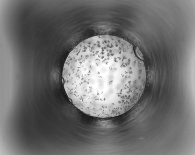 X0000096960283200802221348