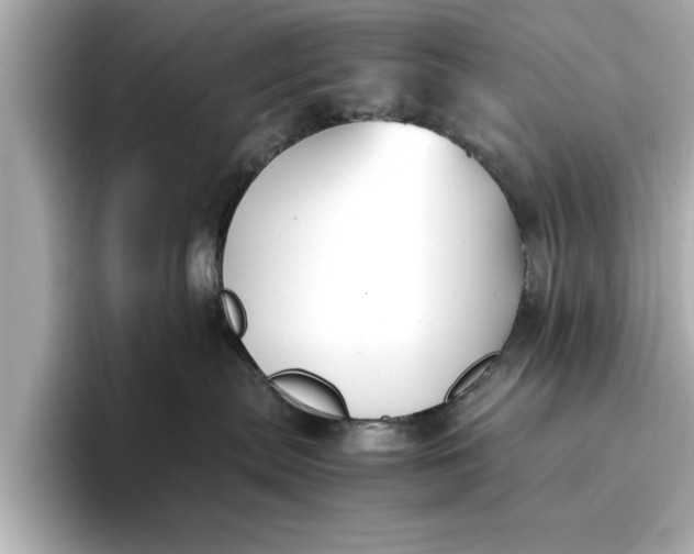 X0000096960287200802221348