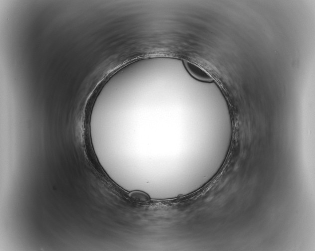 X0000096960290200802221348