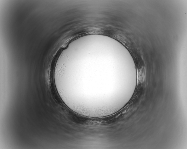 X0000096960291200802221348