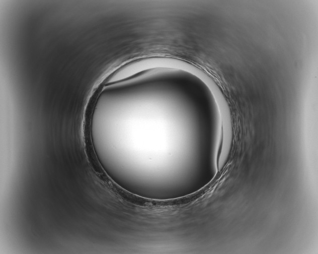 X0000096960292200802221348