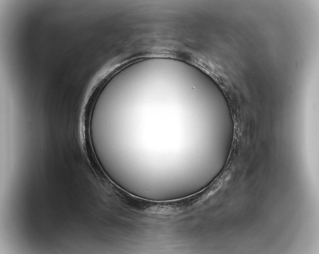 X0000096960294200802221348