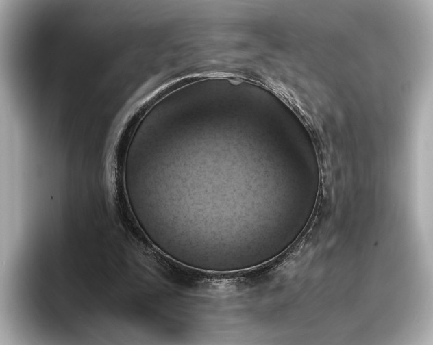 X0000096960295200802221348