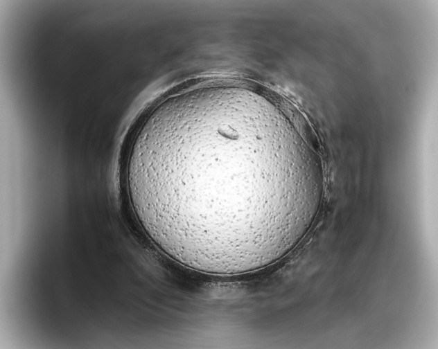 X0000096960296200802221348