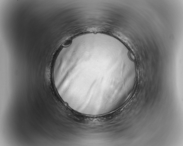 X0000096960297200802221348