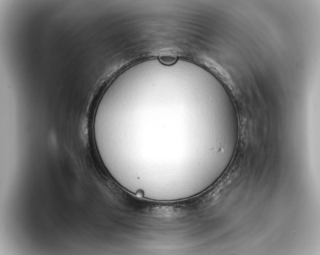 X0000096960298200802221347