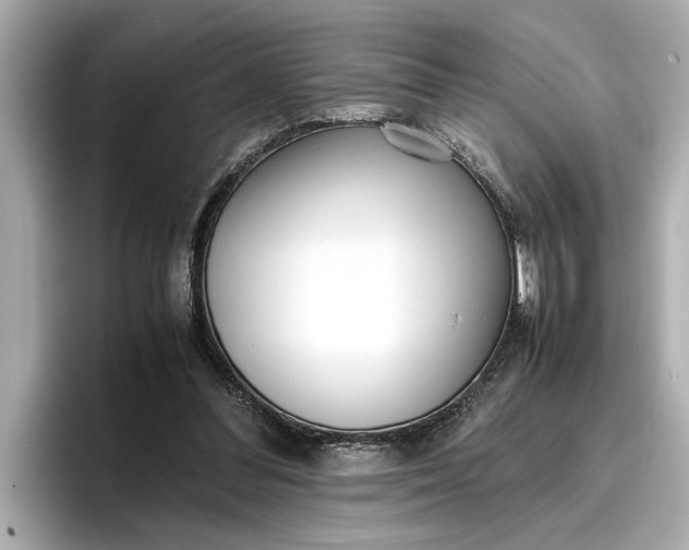 X0000096960300200802221347