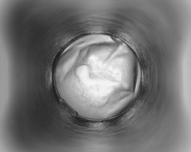 X0000096960301200802221347