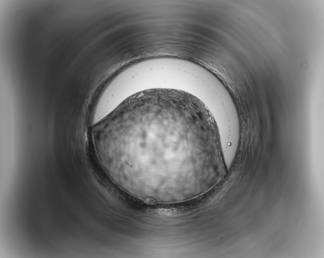 X0000096960302200802221347