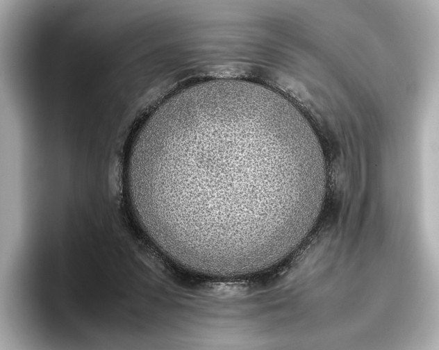 X0000096960303200802221347