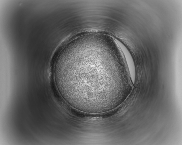 X0000096960304200802221347