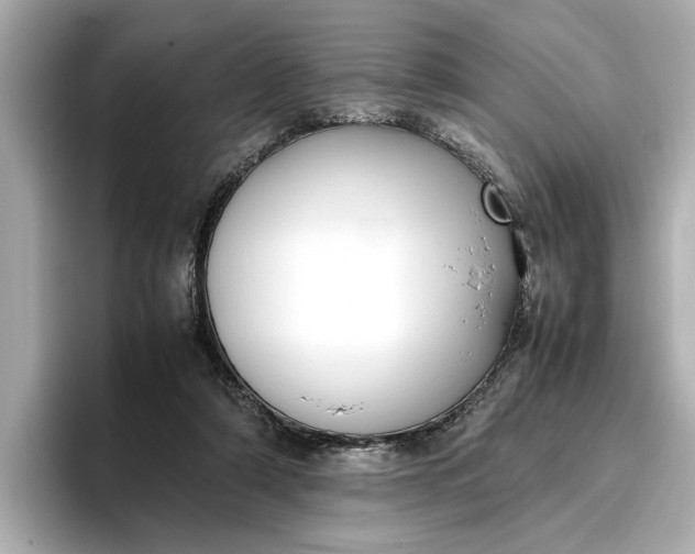 X0000096960306200802221347