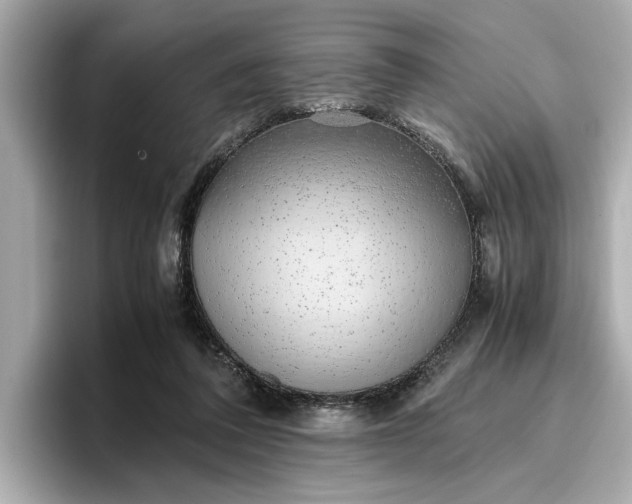 X0000096960308200802221347