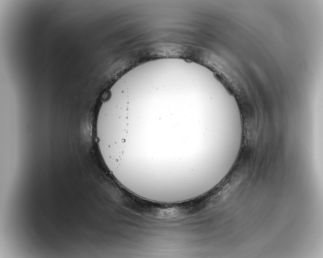 X0000096960309200802221347