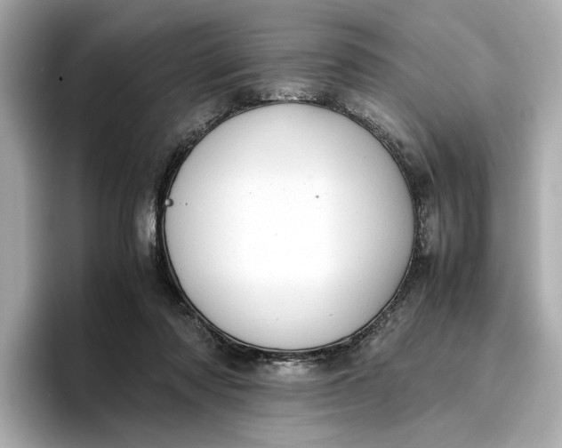 X0000096960310200802221347