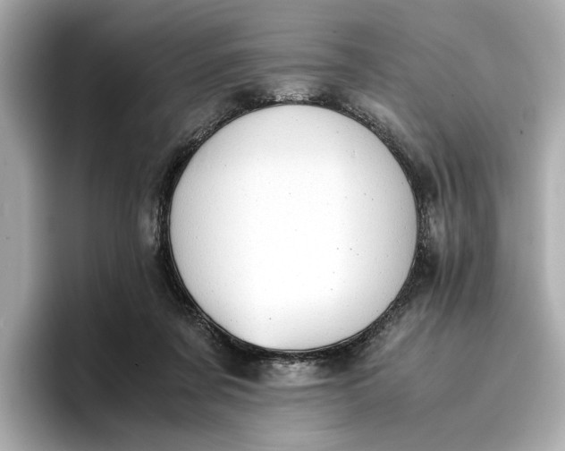 X0000096960311200802221347