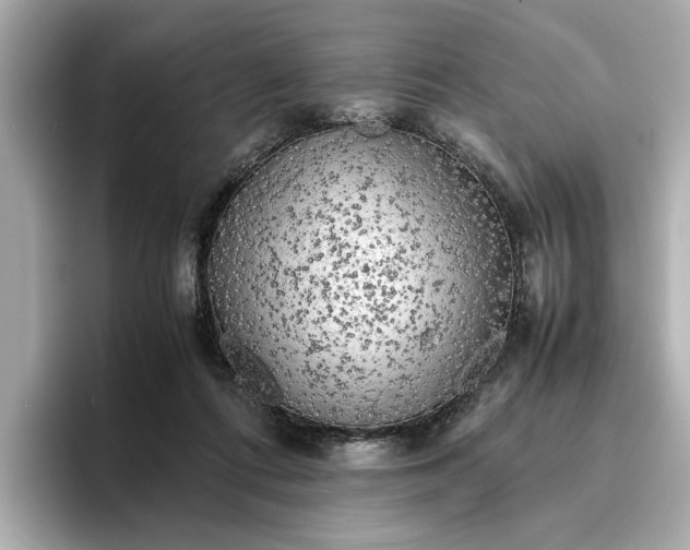 X0000096960312200802221347