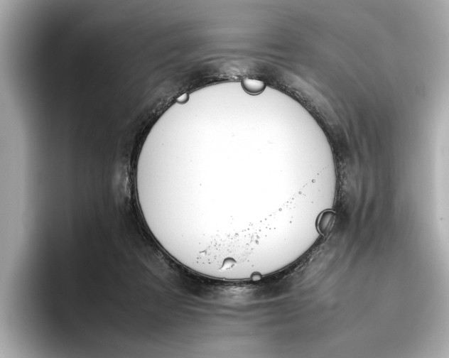 X0000096960313200802221347