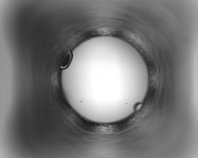 X0000096960317200802221347