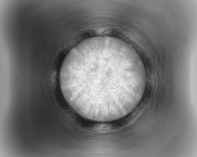 X0000096960319200802221347