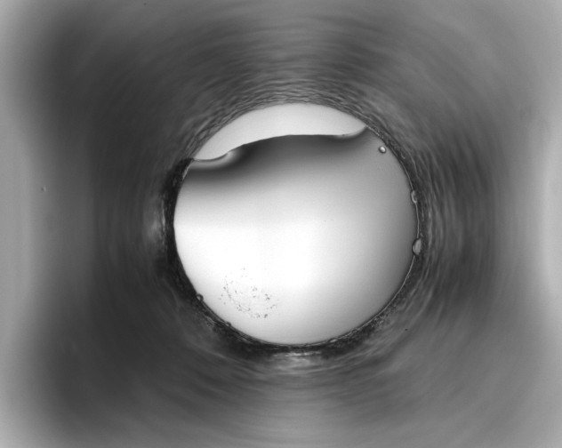 X0000096960320200802221347