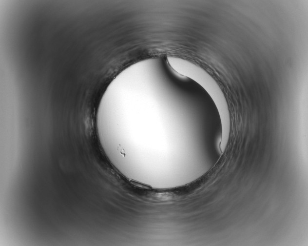 X0000096960324200802221347