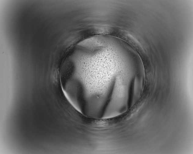 X0000096960325200802221347