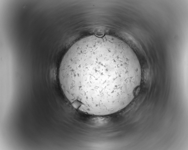 X0000096960326200802221347