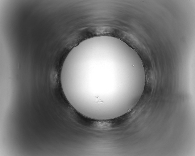 X0000096960327200802221347