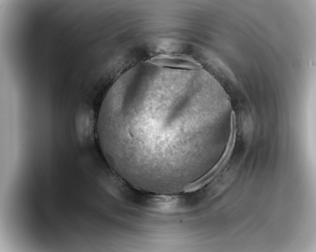 X0000096960328200802221347