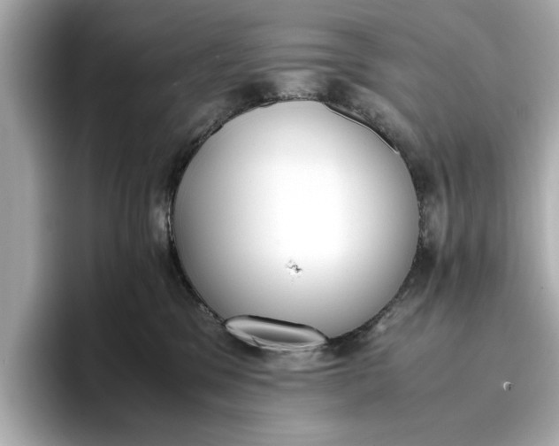 X0000096960329200802221347