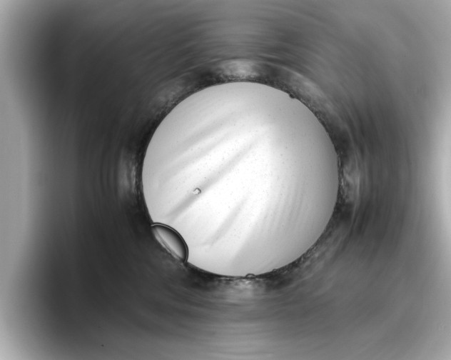 X0000096960330200802221347