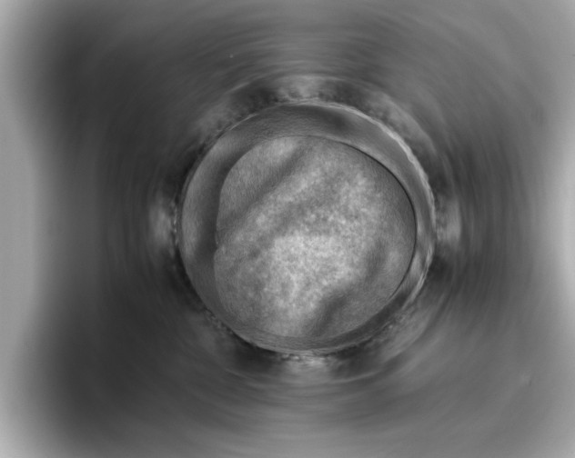 X0000096960332200802221347