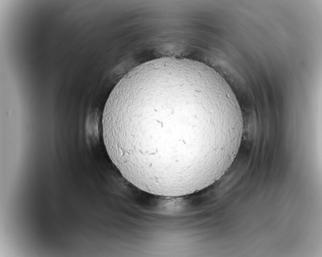 X0000096960334200802221347