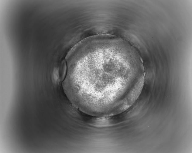 X0000096960335200802221347