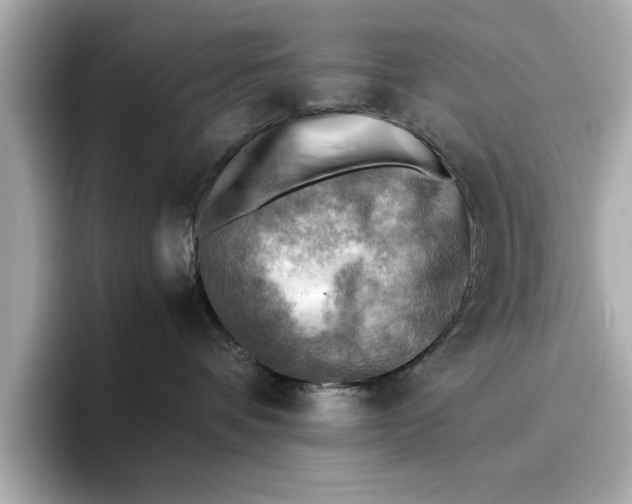 X0000096960336200802221347