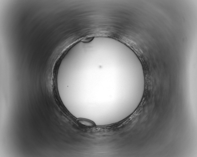 X0000096960338200802221346