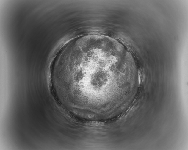 X0000096960339200802221346